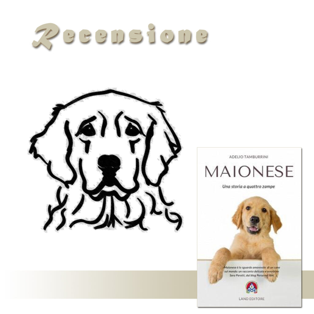 RECENSIONE DI: Maionese di Adelio Tamburrini